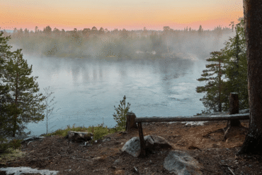 Tips! – Missa inte utbildningen ”Friskvård, träning, teori och inspiration i skogen”